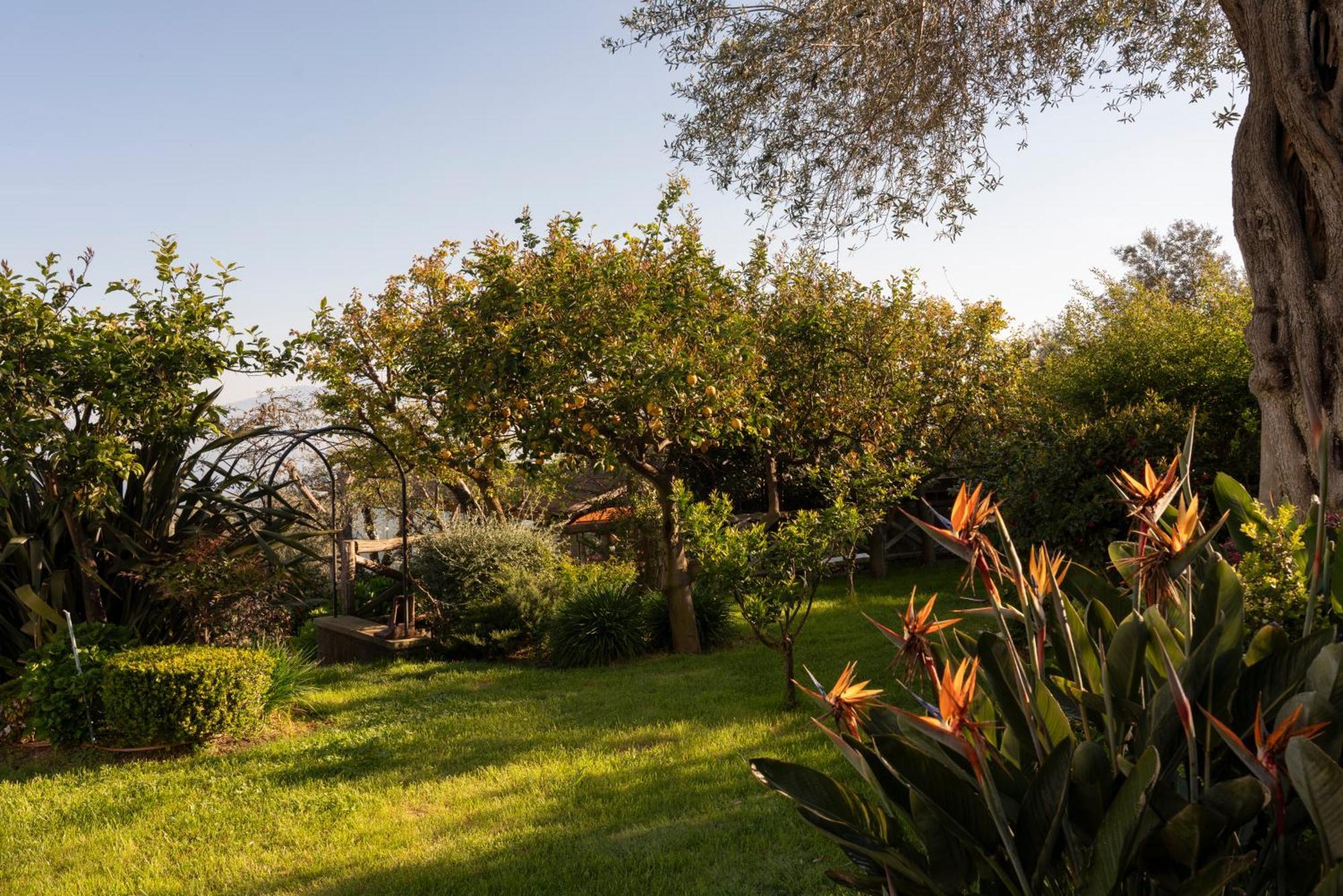 Relais Palazzo Del Barone (Adults Only) Sorrento Exterior foto